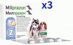 ミルプラゾン 2.5mg/25mg 小型犬 子犬用 6錠(2錠x3箱)