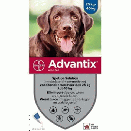 フォートレオン | 大型犬用 | 25kg-40kg | 4本入