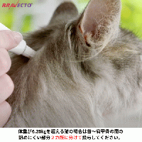ブラベクトプラス | 小型猫用 | 1.2kg-2.8kg |