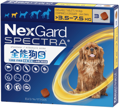 獣医さんに行くより安い!フィラリア予防ネクスガードスペクトラ