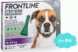 フロントラインプラス大型犬用(体重20〜40kg)　6本入